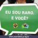 Fevereiro Lilás traz luz sobre doenças raras no Paraná