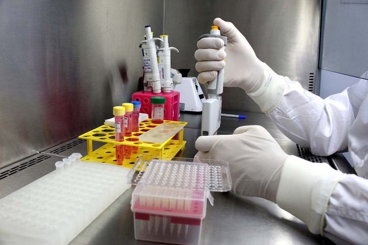 Tecpar seleciona projetos para  testes rápidos de doenças tropicais