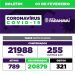 Confirmados mais 255 casos de Covid-19 em Paranavaí