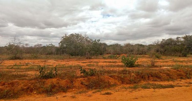Mais 34 cidades atingidas por estiagem ou  seca entram em situação de emergência