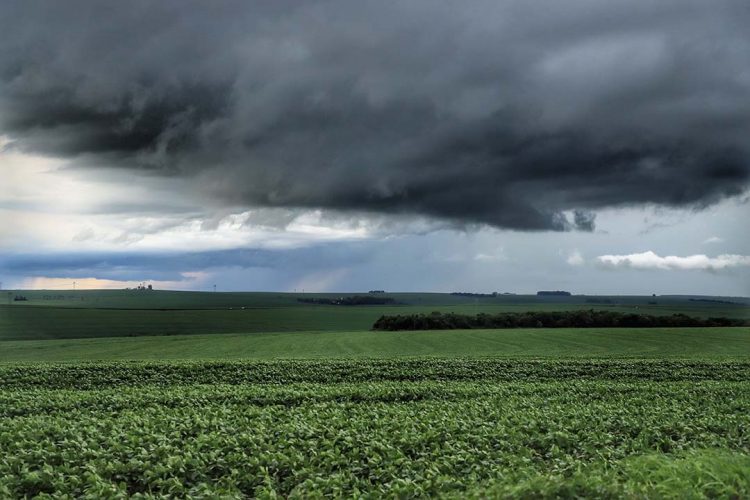 Chuva fica abaixo da média em fevereiro