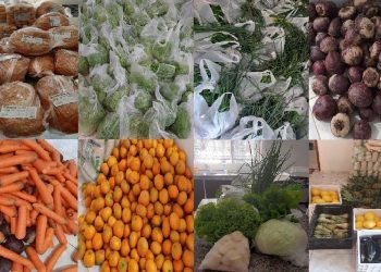 Programa de Aquisição de Alimentos tem beneficiado 112 famílias do município