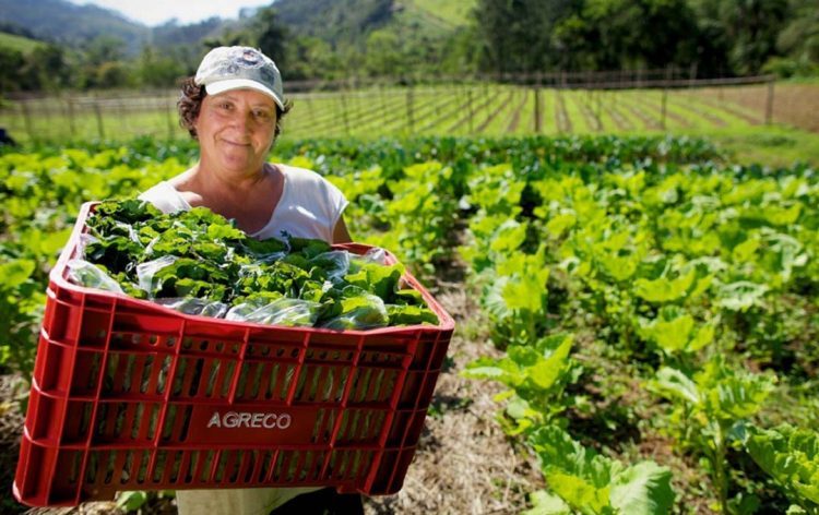 Boletim da Conab destaca conquistas das mulheres na agricultura familiar