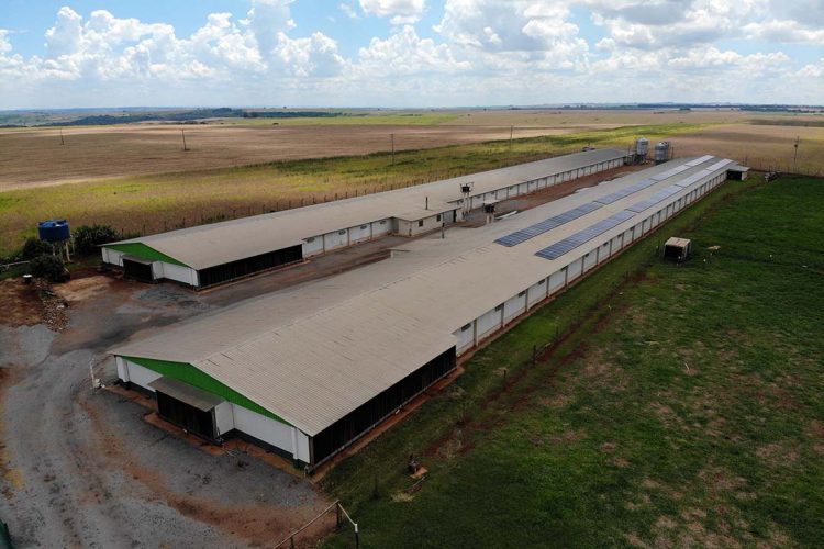 Estado libera R$ 250 milhões em créditos de ICMS para expansão de energias renováveis