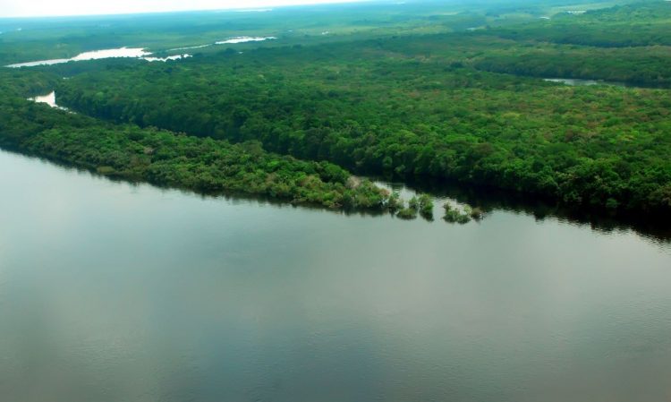 Apenas 7% dos rios da Mata Atlântica  apresentam água de boa qualidade