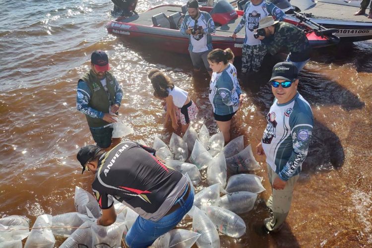 Governo promove soltura de 105 mil peixes nativos