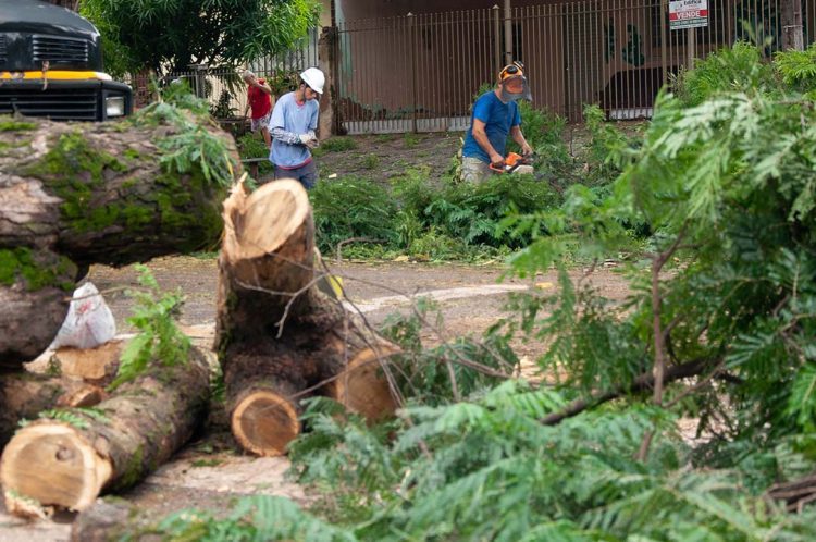Temporal provoca estragos em mais de 20 pontos de Paranavaí; equipes trabalham na recuperação