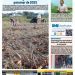 Edição 30/03/2022