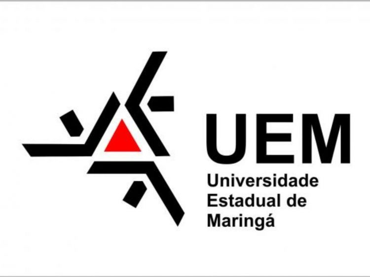 CNPq contempla UEM com R$ 4,1 milhões em 57 bolsas de produtividade