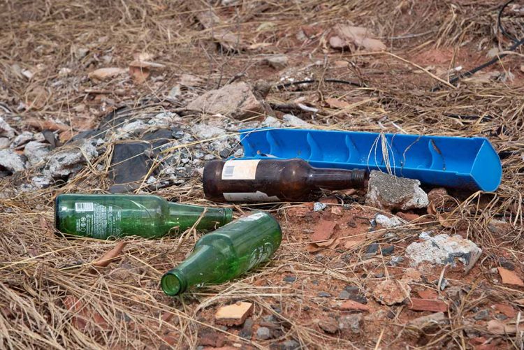 Sábado é o “Dia D” de combate à dengue em Paranavaí