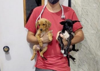 Espaço PET 19 a 21/03