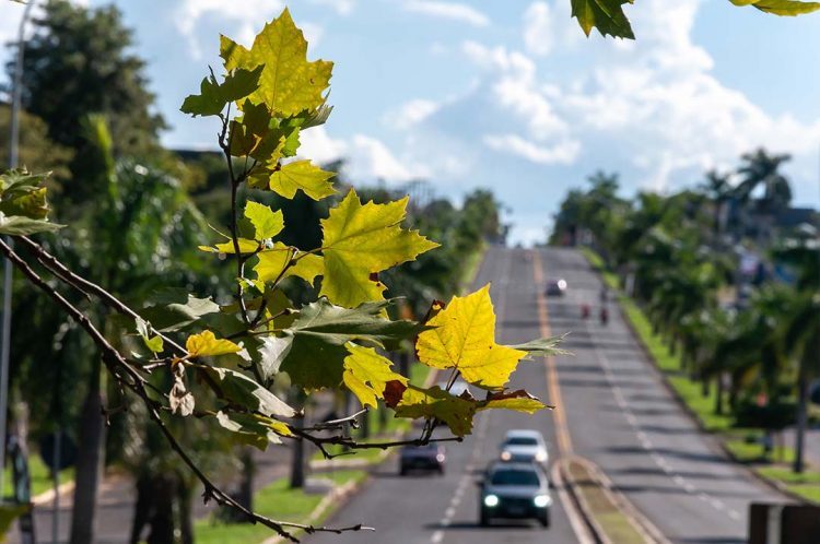 Outono começa neste domingo e deve ter poucas ocorrências de chuva, prevê Climatempo