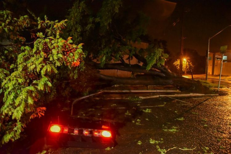 Temporal derruba árvores e provoca estragos em Paranavaí; ventos chegaram perto dos 70 km/h