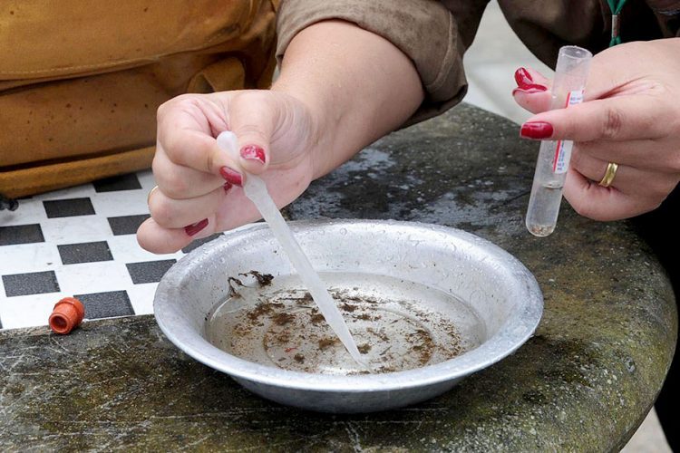 Sesc PR promove ação de mobilização contra a Dengue em todo o Paraná