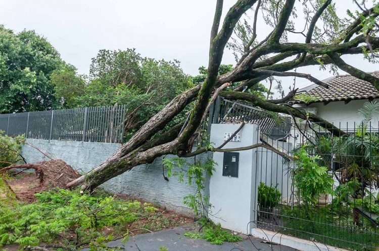 Equipes seguem com trabalhos para reparar danos provocados pelo temporal de quarta-feira