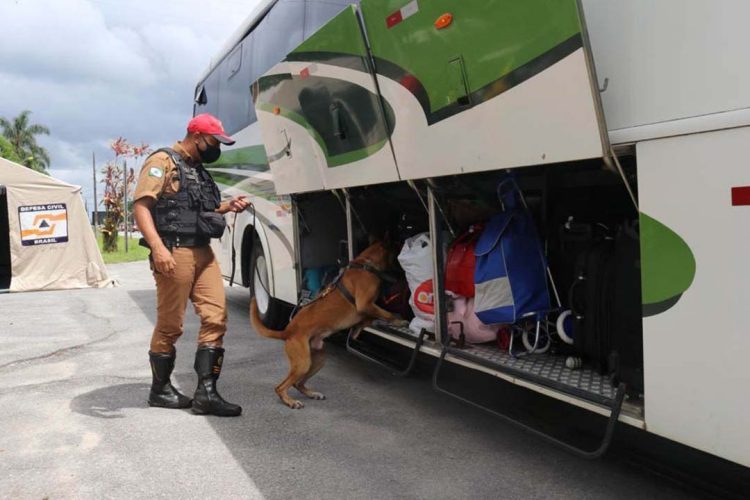 Rodovias estaduais terão reforço  de policiamento durante o feriado