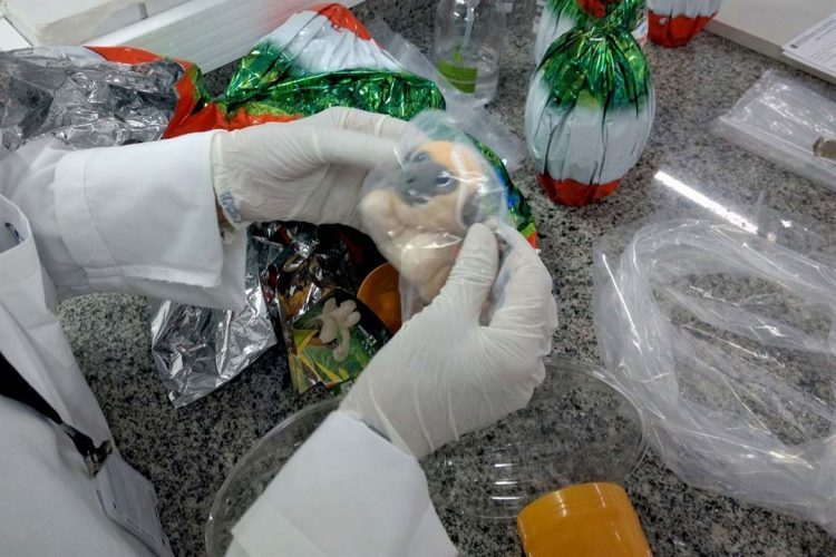 Ovos, chocolates e produtos artesanais:  Ipem-PR dá dicas para compra de produtos da Páscoa