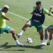 Palmeiras encara clássicos seguidos  para apagar pior início desde 2014