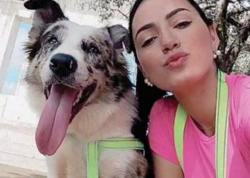 Espaço PET 09 a 11/04