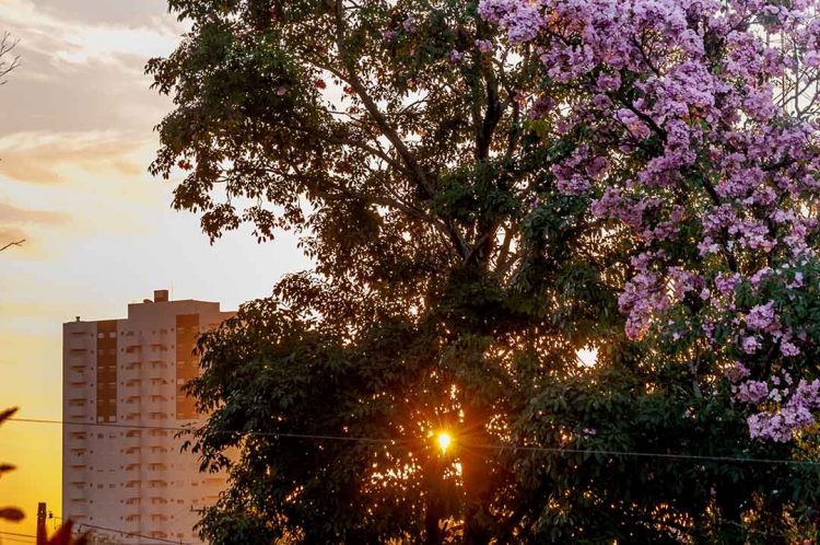 Feriado promete ser quente em Paranavaí