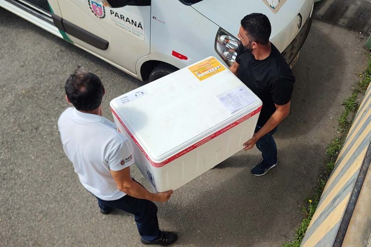 Secretaria da Saúde do Paraná reabastece regionais com vacinas da gripe e Covid-19