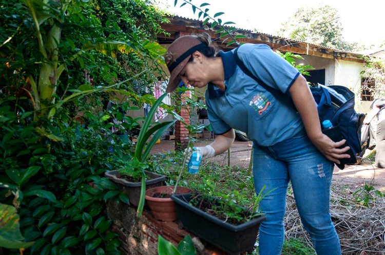 Paranavaí soma 361 casos confirmados de dengue