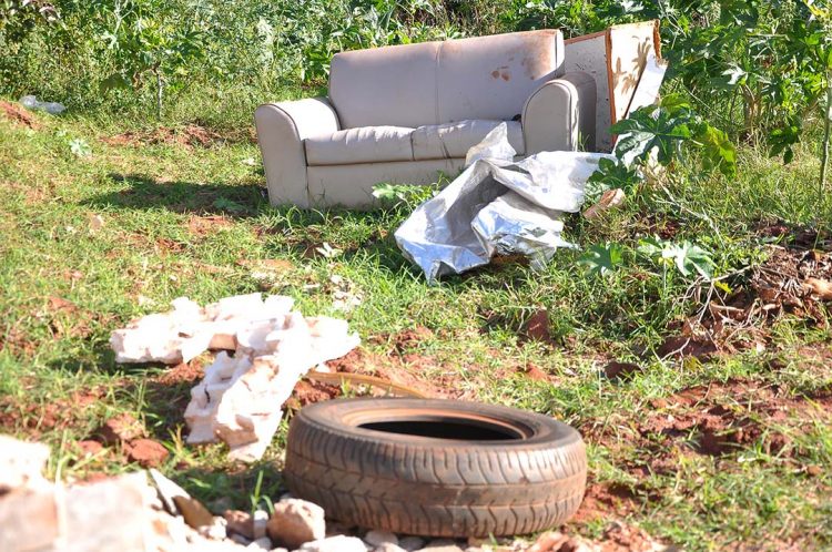 Casos de dengue no Paraná chegam a 43 mil