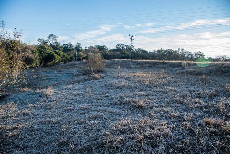 Queda na temperatura e ventos fortes  exigem cuidados dos produtores rurais