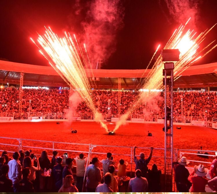 Arena de rodeio também é lugar de mulher - Notícias