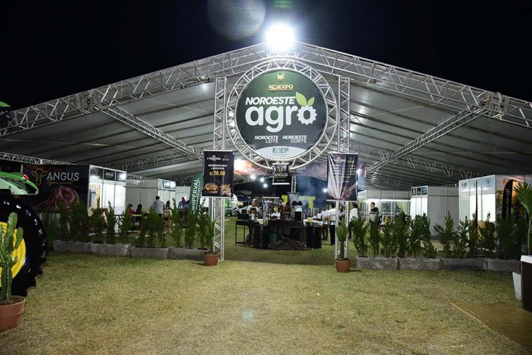 Pavilhão Noroeste Agro tem doze raças diferentes de gado