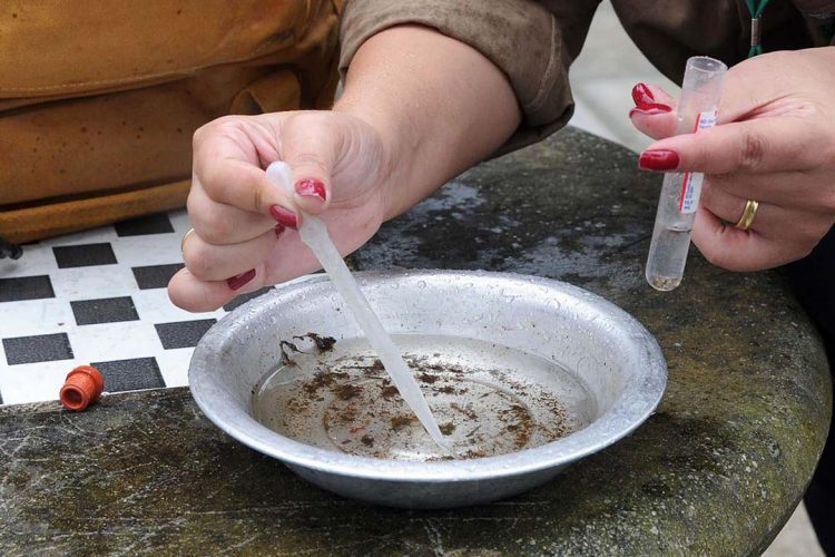 Paranavaí atualiza números da dengue