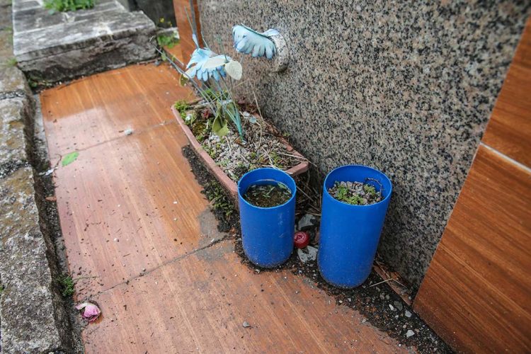 Paranavaí atualiza números da dengue