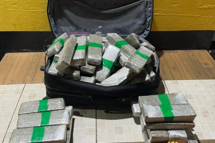 Policiais apreendem 80 quilos de  maconha em operações no Estado