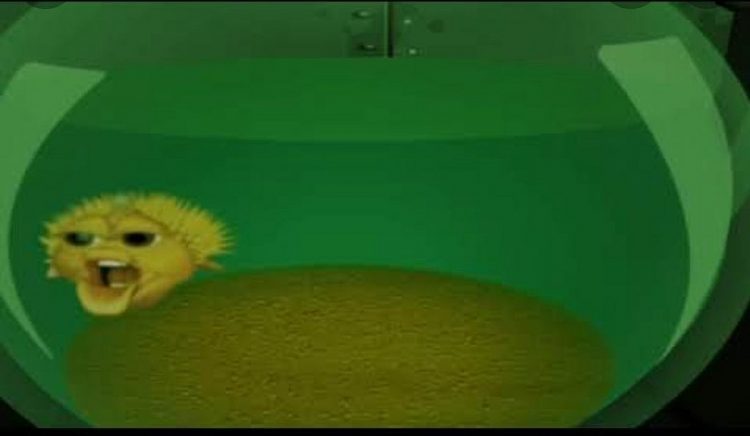 De onde vem o meme: “Meu Deus, meu Senhor, me ajuda, por favor”?