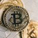 Corretoras de criptomoedas já negociam ‘meia Bolsa’ e BC apressa regulação do mercado