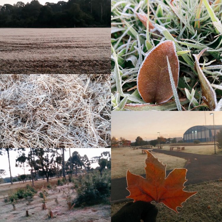 Paraná registra temperaturas negativas; em Paranavaí, mínima foi de 6,8 graus