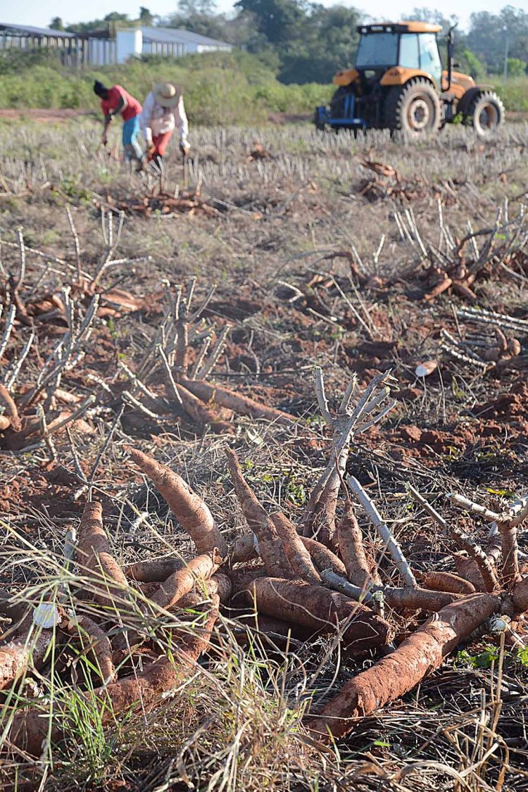 Programa de negociação de dívidas para  produtores rurais segue até 31 de julho