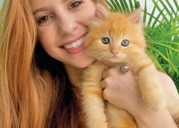 Espaço PET 21 a 23/05