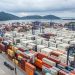No 1º quadrimestre, Porto de Paranaguá  exporta 608 mil toneladas de frango congelado
