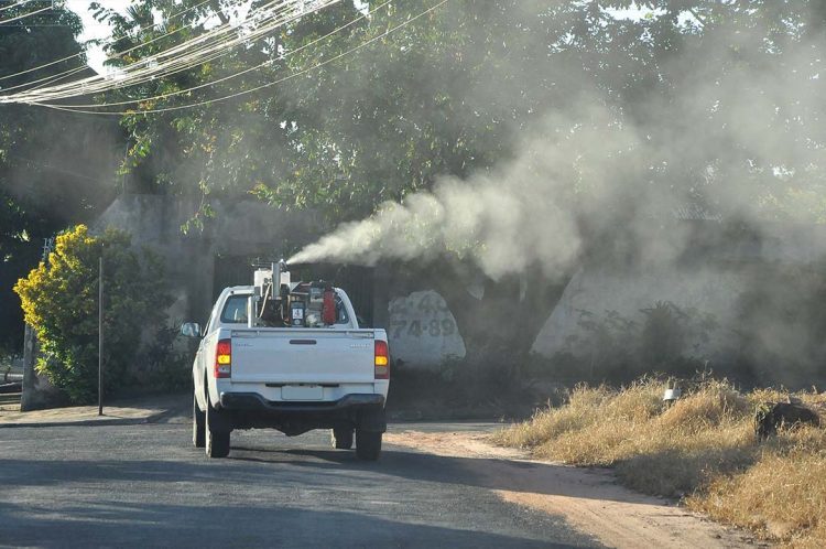 Paraná registra mais dez óbitos e Saúde  alerta para cuidados e combate à doença