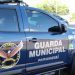 Só este ano, Patrulha Ambiental da GM atendeu 85 ocorrências e percorreu quase 6 mil km