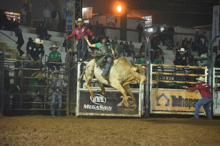 Peão de Batayporã é campeão nas montarias em touro; paranavaiense fica em segundo