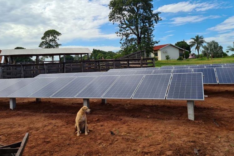 Semana das Energias Renováveis divulga novidades e mobiliza produtores