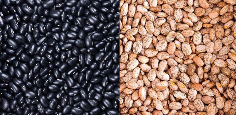 Produtores do Paraná trocam feijão carioca pelo preto