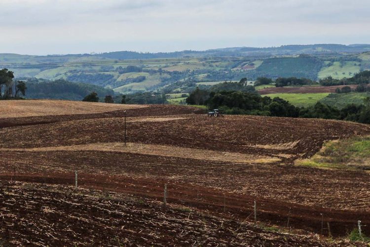 Vazio sanitário começa em 10 de junho no Paraná