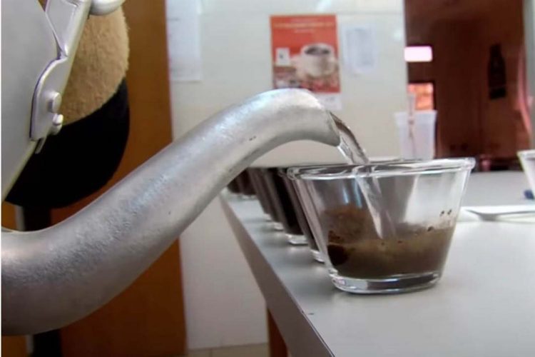 Inscrições para o concurso Café Qualidade Paraná estão abertas