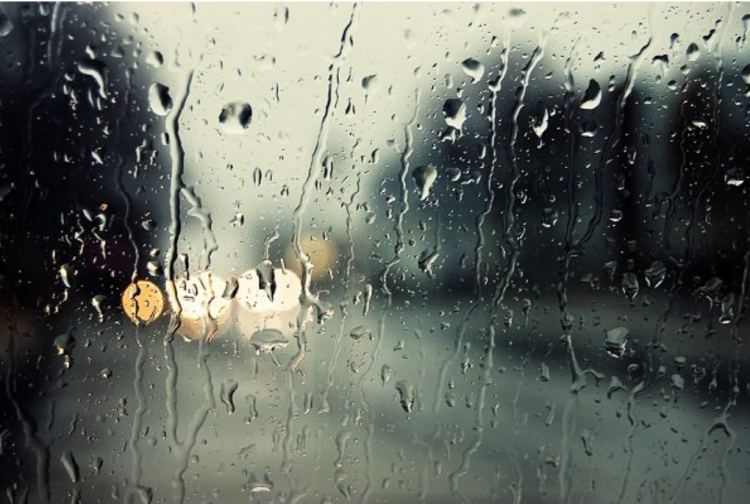 “Zé Dentinho” e “Nersinho” estão de volta com palestra “Humor Tivação”