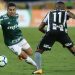 Palmeiras bate Botafogo com facilidade e assume ponta isolada do Brasileiro