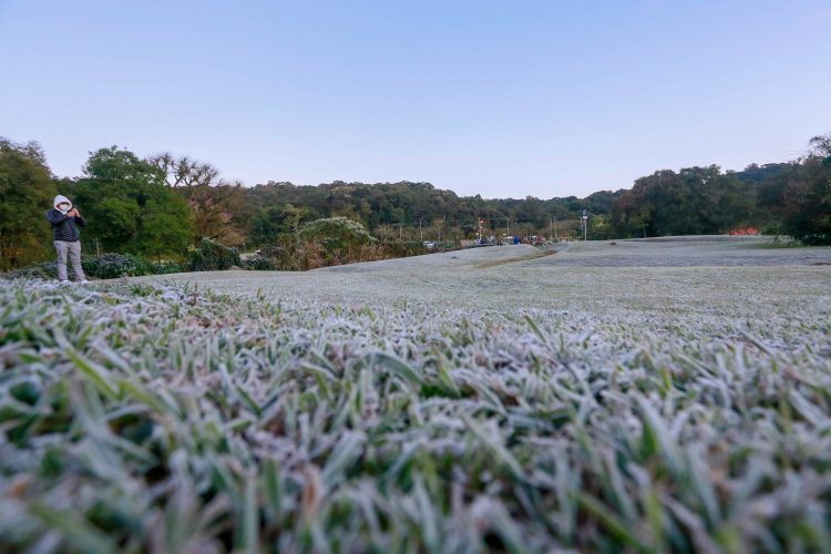 Com temperatura de quase -4°C, Simepar registra madrugada mais fria do ano no Paraná