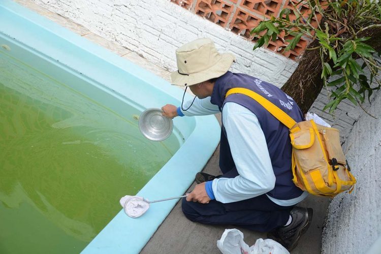 Municípios saem da epidemia de dengue, mas vírus  ainda circula e traz risco de nova explosão de casos